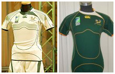 New Springbok Jersey White and Green
