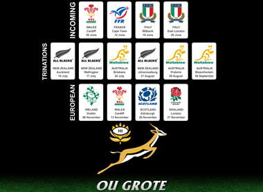 Springbok rugby wallpaper